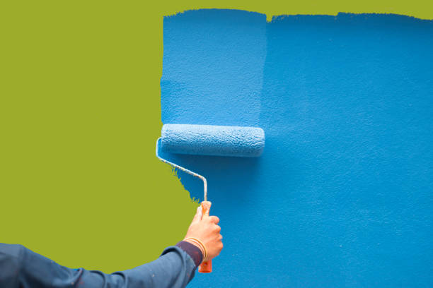 Environmental Consulting for Mold Prevention in Castle Point, MO